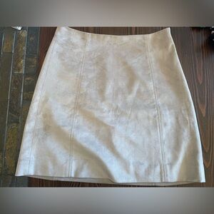Aritzia Babaton Suede Skirt